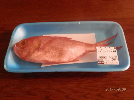 vol.5南関東イドバタ会議話し足りない人はこちら。愛調南関東連合ありのままで喋りましょう！