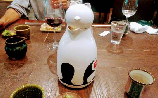 生き物ルーム第７段