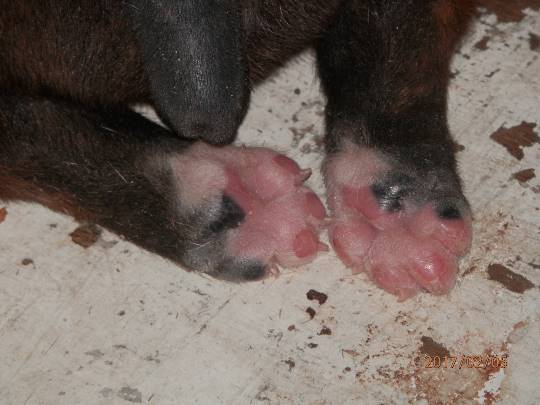 vol.5南関東イドバタ会議話し足りない人はこちら。愛調南関東連合ありのままで喋りましょう！