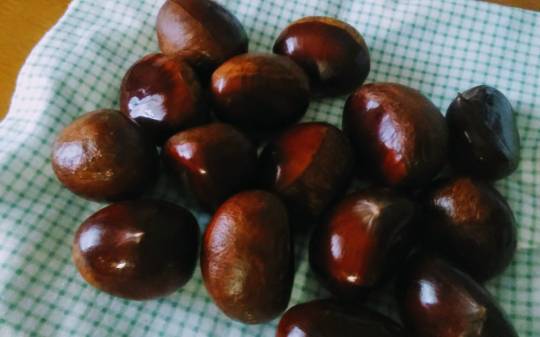 vol.5南関東イドバタ会議話し足りない人はこちら。愛調南関東連合ありのままで喋りましょう！