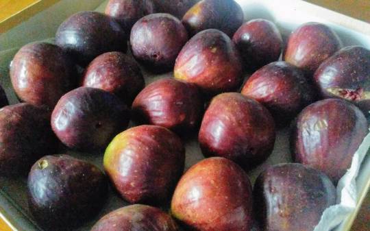 vol.5南関東イドバタ会議話し足りない人はこちら。愛調南関東連合ありのままで喋りましょう！