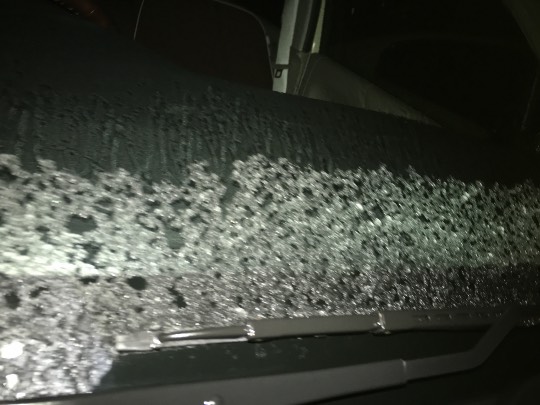 つぶやき 41 どんな話題もお気軽に