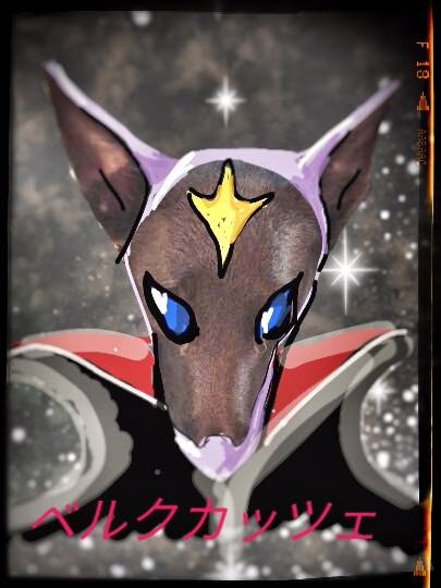 生き物ルーム第７段