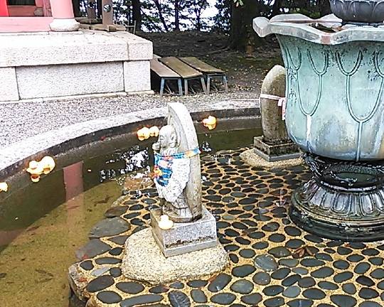 歴女倶楽部&amp;コッ地会 合同部室