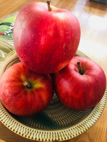 生き物ルーム第７段