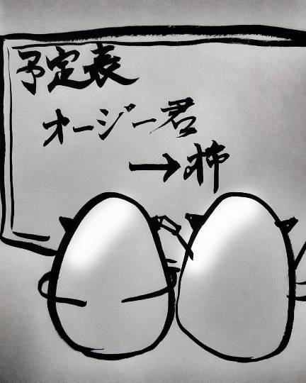 生き物ルーム第７段