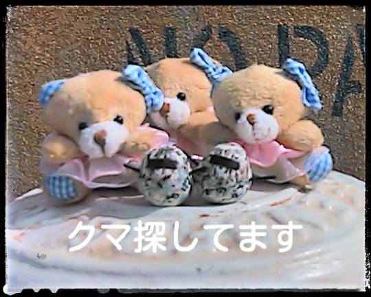 生き物ルーム第7段