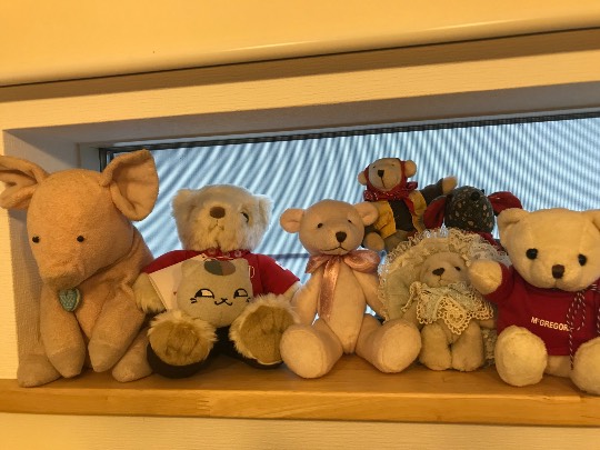 生き物ルーム第7段