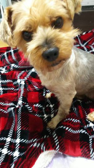 生き物ルーム第７段