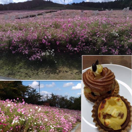 EGG&#039;S CAFE　in  America !!　(なんちゃって～♪)