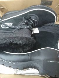 ソレルのカリブー