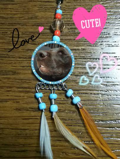 生き物ルーム第７段