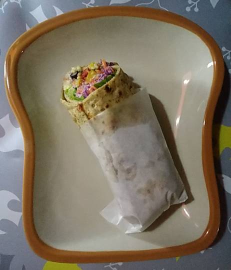 生き物ルーム第７段