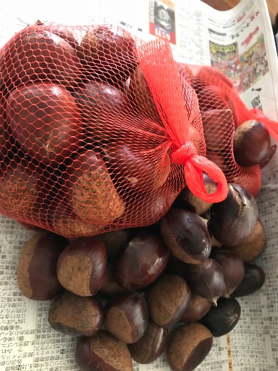 vol.5南関東イドバタ会議話し足りない人はこちら。愛調南関東連合ありのままで喋りましょう！