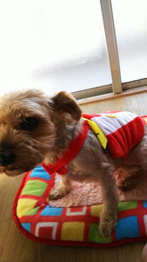 生き物ルーム第７段