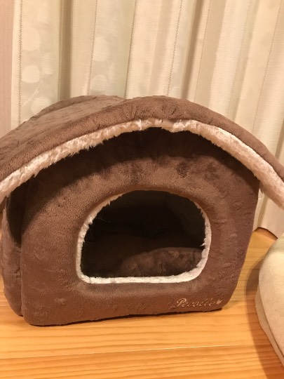 生き物ルーム第７段