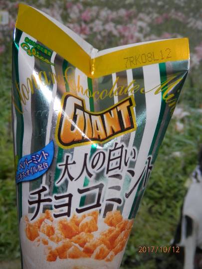 つぶやき 41 どんな話題もお気軽に