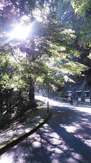 歴女倶楽部&amp;コッ地会 合同部室