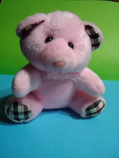 100均topics　コストコ利用者は100均も好き♥