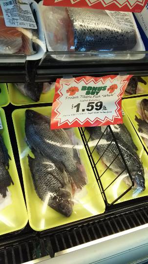 つぶやき 41 どんな話題もお気軽に