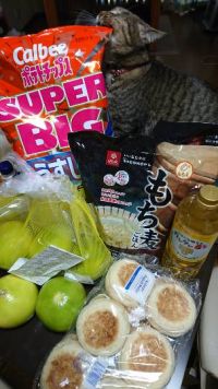 11月18日(土)メロゴールド買いました