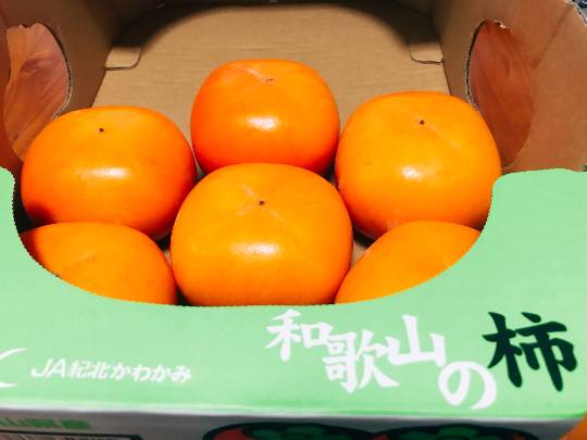和歌山の種なし柿まだ売ってますか？