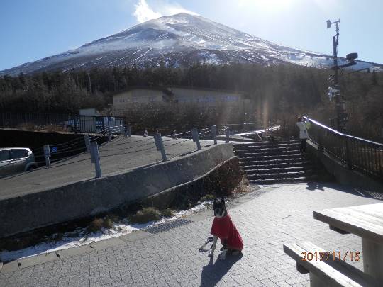 vol.5南関東イドバタ会議話し足りない人はこちら。愛調南関東連合ありのままで喋りましょう！