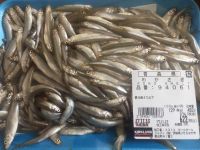 11/12(日)ひたちなか