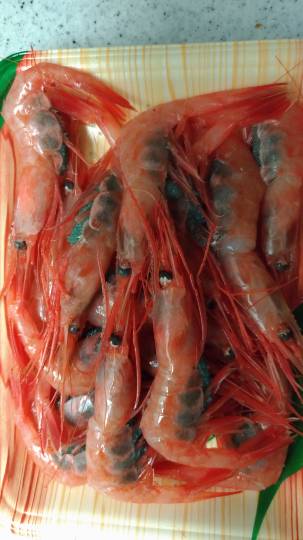 vol.5南関東イドバタ会議話し足りない人はこちら。愛調南関東連合ありのままで喋りましょう!