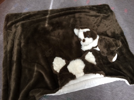 教えてください。