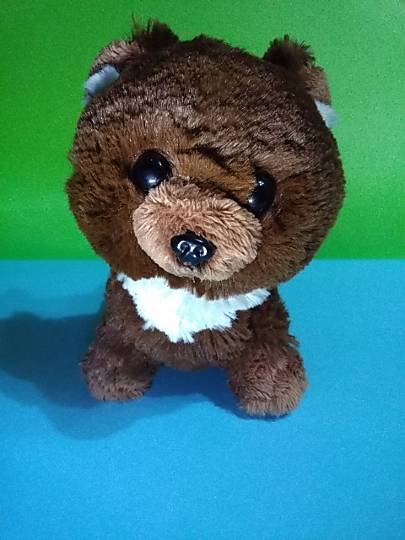 100均topics　コストコ利用者は100均も好き♥