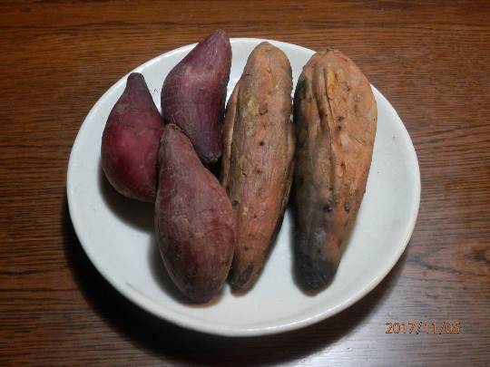 vol.5南関東イドバタ会議話し足りない人はこちら。愛調南関東連合ありのままで喋りましょう!