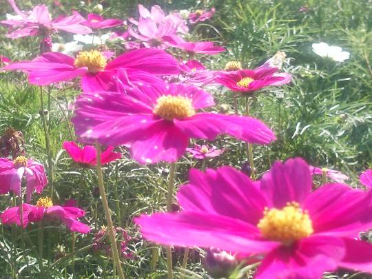 東海エリア界 ナンバーーー2♪