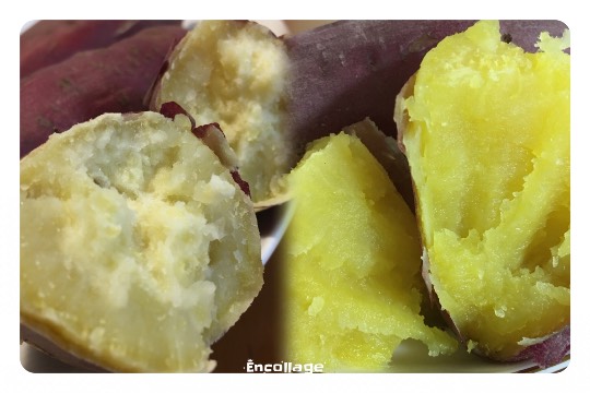 つぶやき 41 どんな話題もお気軽に