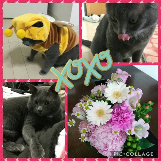 vol.6南関東イドバタ会議話し足りない人はこちら。愛調南関東連合ありのままで喋りましょう!