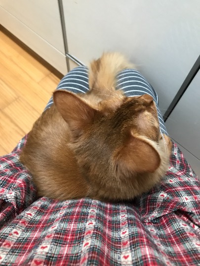 EGG'S CAFE支店『Wellness』 入院　通院　介護　持病...の情報交換と一息に