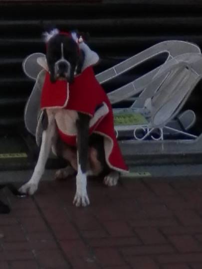 vol.6南関東イドバタ会議話し足りない人はこちら。愛調南関東連合ありのままで喋りましょう!