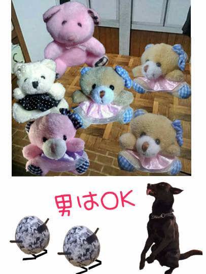 EGG'S CAFE支店『Wellness』 入院　通院　介護　持病...の情報交換と一息に