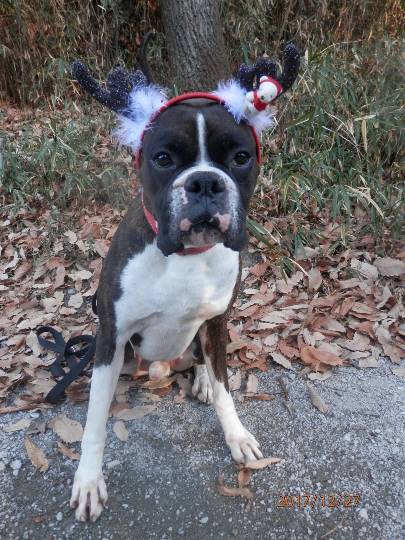 vol.６南関東イドバタ会議話し足りない人はこちら。愛調南関東連合ありのままで喋りましょう！