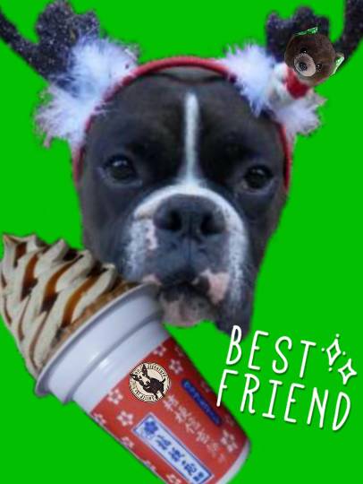 vol.６南関東イドバタ会議話し足りない人はこちら。愛調南関東連合ありのままで喋りましょう！