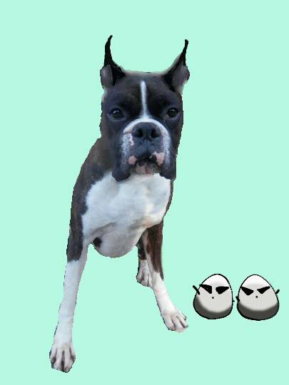 vol.６南関東イドバタ会議話し足りない人はこちら。愛調南関東連合ありのままで喋りましょう！