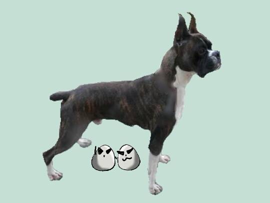 vol.６南関東イドバタ会議話し足りない人はこちら。愛調南関東連合ありのままで喋りましょう！