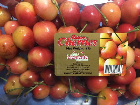 川崎12/11（月）レイニアチェリー有り！