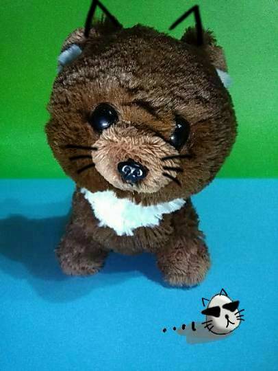 vol.６南関東イドバタ会議話し足りない人はこちら。愛調南関東連合ありのままで喋りましょう！