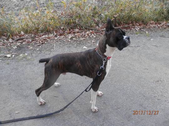 vol.６南関東イドバタ会議話し足りない人はこちら。愛調南関東連合ありのままで喋りましょう！