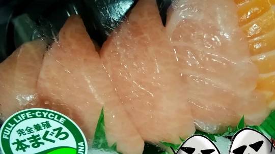 1/3尼崎 少しですが