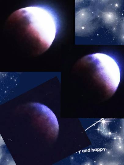 歴女倶楽部&amp;コッ地会 合同部室