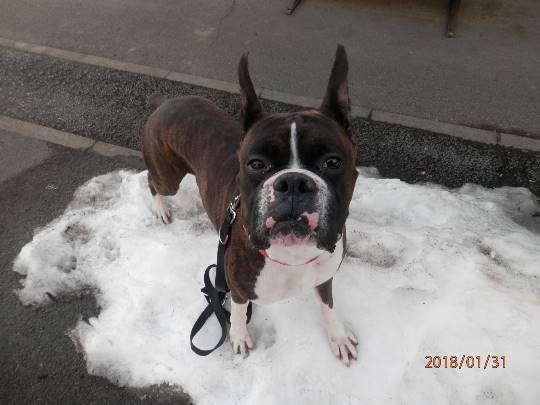 vol.７南関東イドバタ会議話し足りない人はこちら。愛調南関東連合ありのままで喋りましょう！