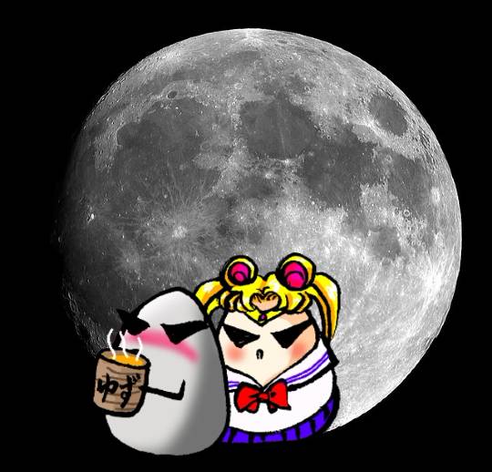 つぶやき その43 (о´∀`о)