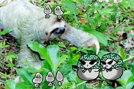 EGG'S CAFE本店 経営順調